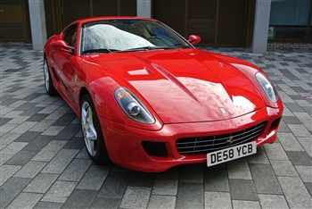 2009 599 f1